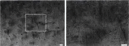 image035.gif