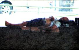 image014.jpg