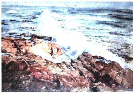 image007.jpg