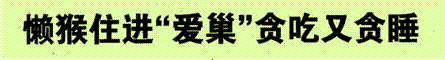 image002.gif