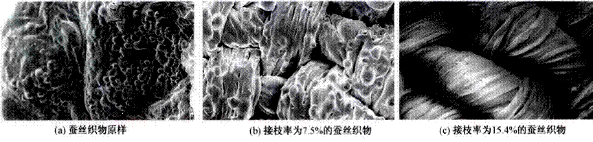 image030.gif