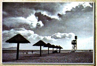 image018.jpg