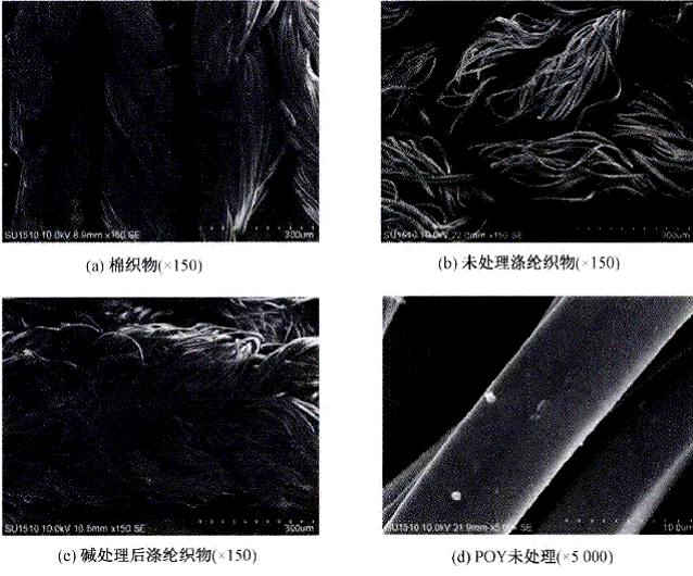 image008.gif