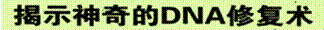 image003.gif