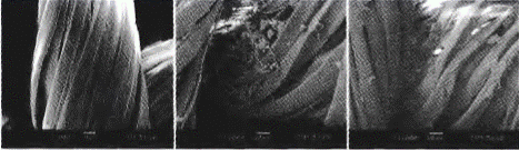 image022.gif