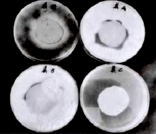 image004.gif