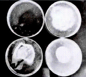 image005.gif