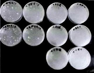 image015.gif