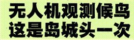 image004.gif