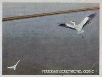 image006.jpg