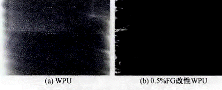 image019.gif