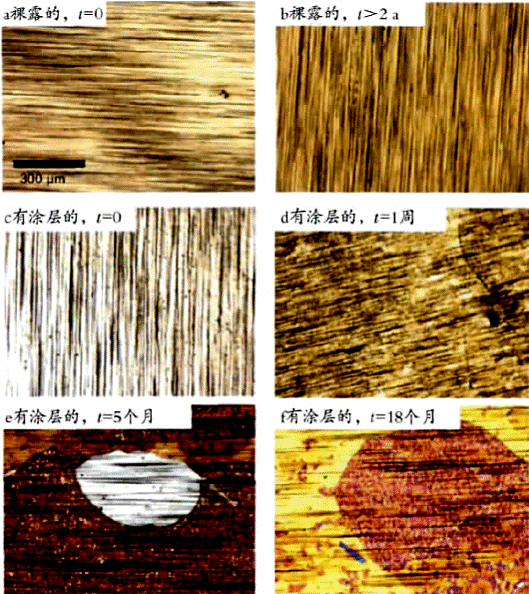 image009.gif
