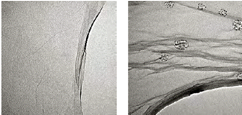 image004.gif