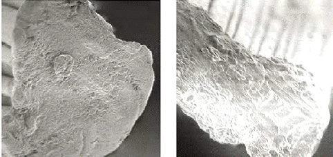 image006.gif