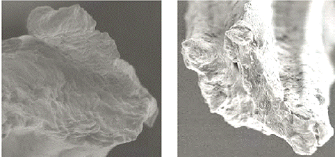 image007.gif
