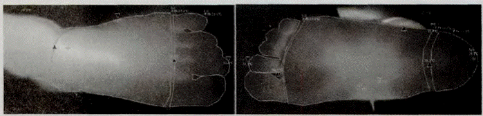 image024.gif