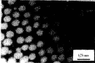 image006.gif