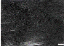 image017.gif