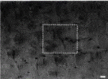 image018.gif