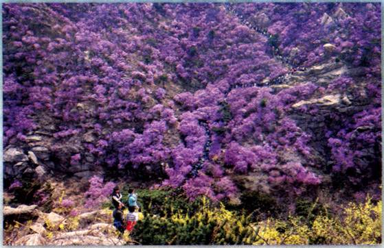 image002.jpg