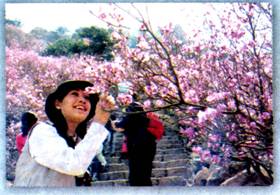 image006.jpg