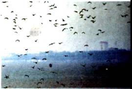 image017.jpg