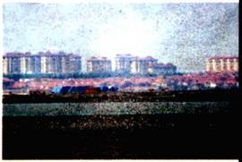 image020.jpg