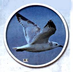 image012.jpg