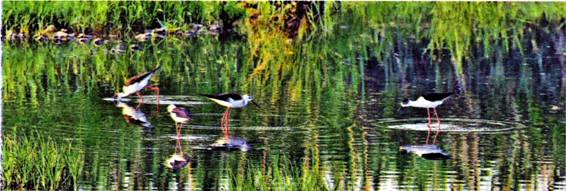 image006.jpg