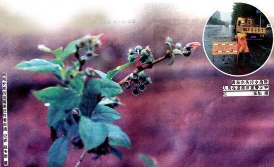 image008.jpg