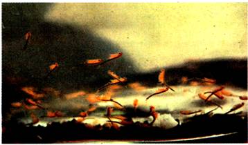 image006.jpg