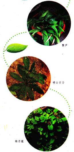 image012.jpg