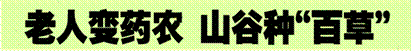 image005.gif