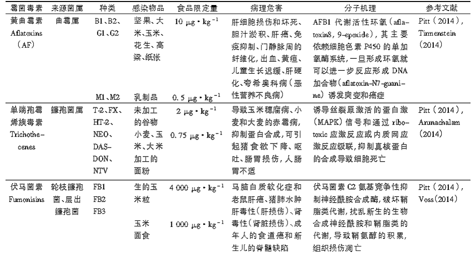 image027.gif