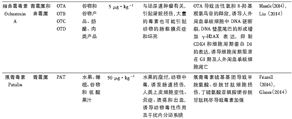 image028.gif