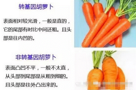 image028.gif