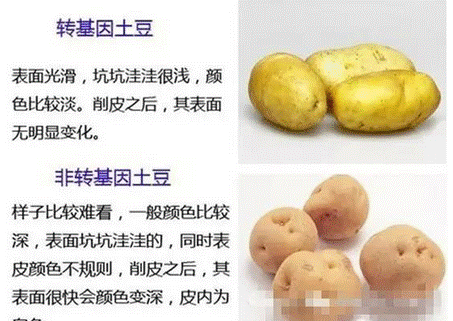 image029.gif