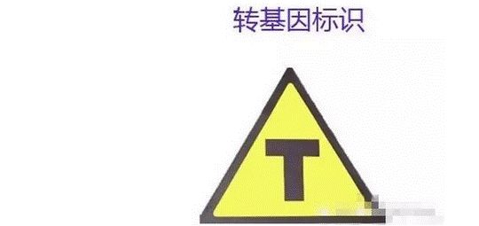 image033.gif