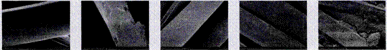 ˵: image001.gif