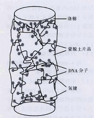 ˵: image004.jpg