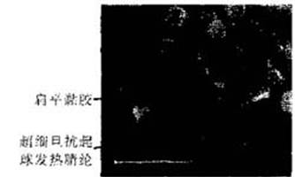 image001.jpg