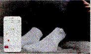 image018.gif