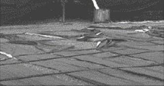 image013.jpg