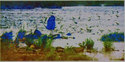 image004.jpg