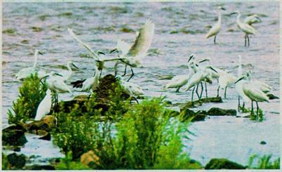 image006.jpg