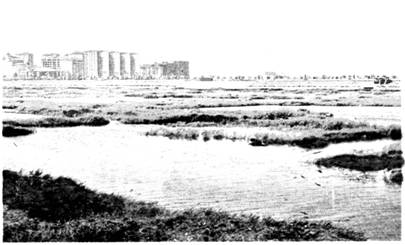 image008.jpg