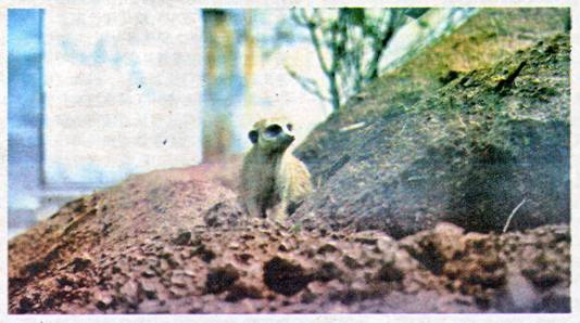 image002.jpg