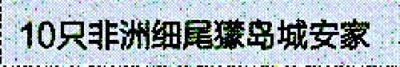image002.jpg
