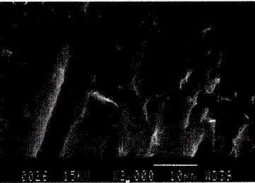 image054