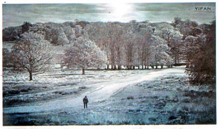 image004.jpg
